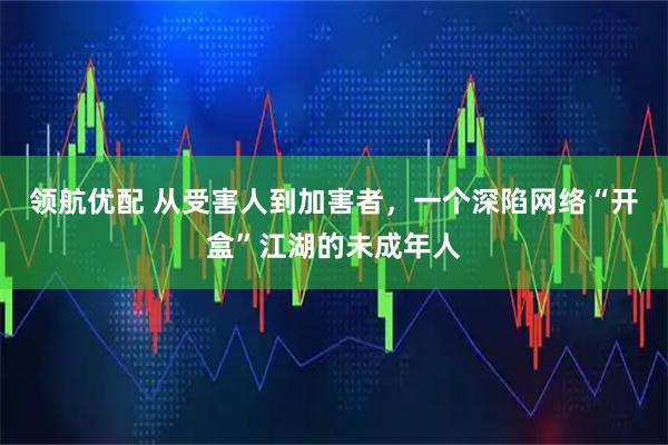 领航优配 从受害人到加害者，一个深陷网络“开盒”江湖的未成年人