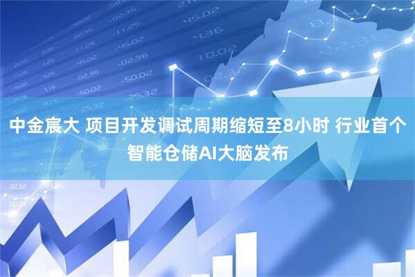 中金宸大 项目开发调试周期缩短至8小时 行业首个智能仓储AI大脑发布