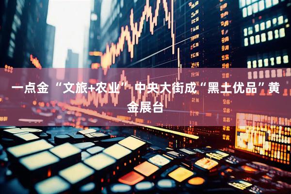 一点金 “文旅+农业” 中央大街成“黑土优品”黄金展台