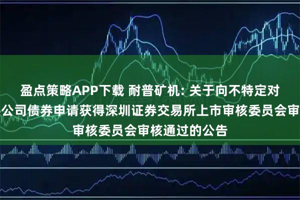 盈点策略APP下载 耐普矿机: 关于向不特定对象发行可转换公司债券申请获得深圳证券交易所上市审核委员会审核通过的公告